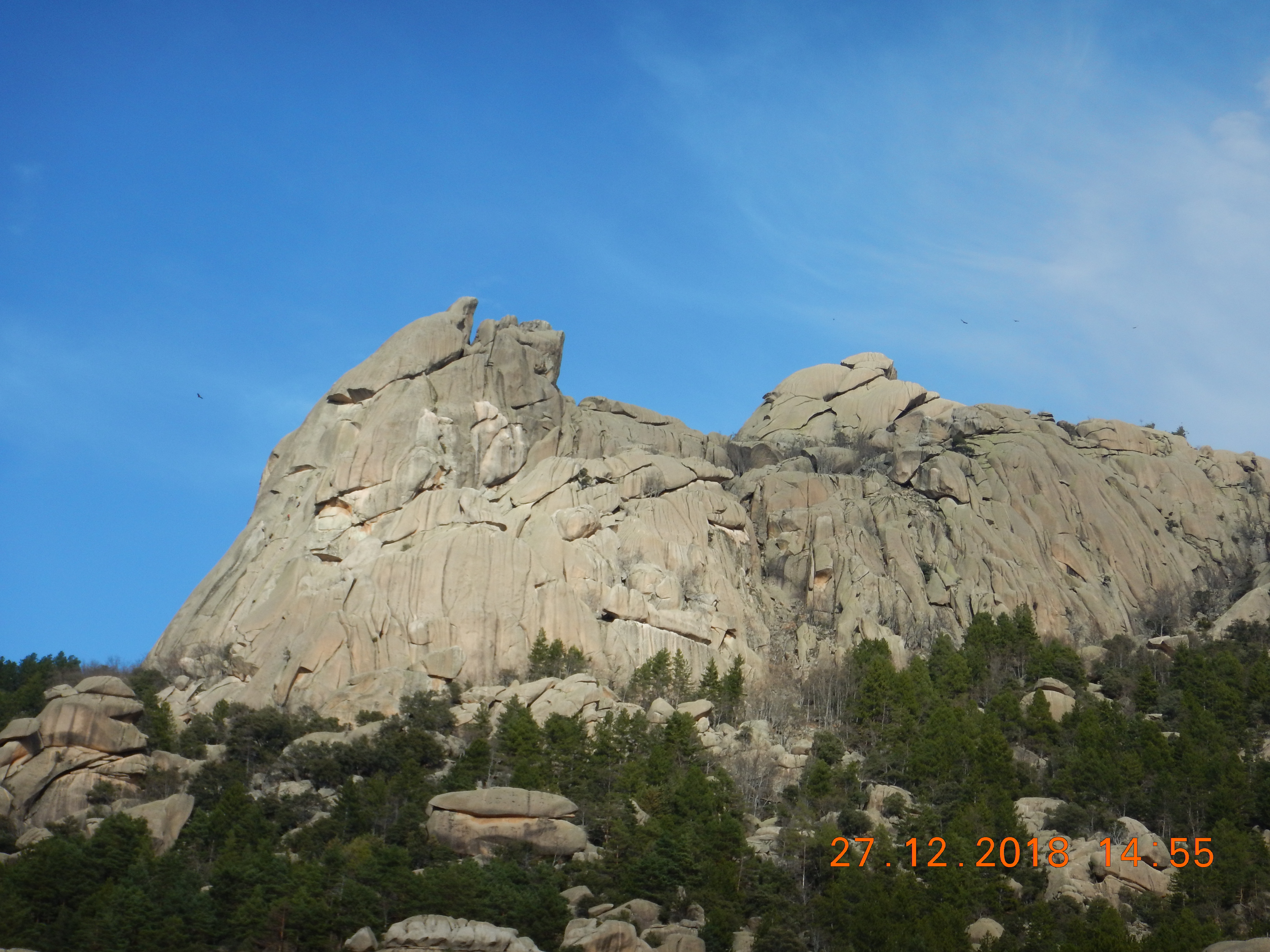 DSCN3708